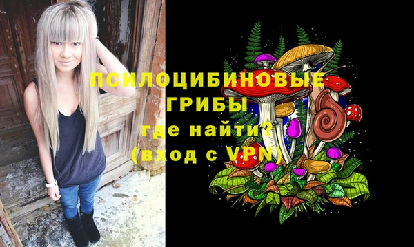 молекула духа Протвино