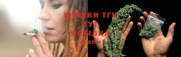 молекула духа Протвино