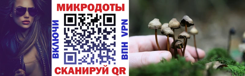 Псилоцибиновые грибы прущие грибы  магазин  наркотиков  Красноперекопск 