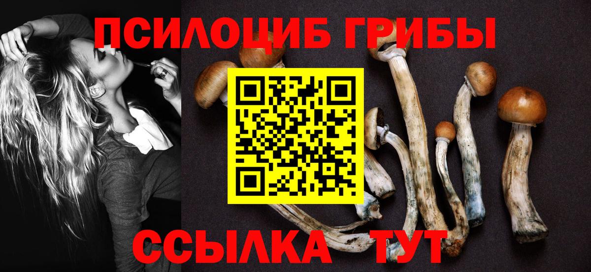 Красноперекопск  наркошоп  Вход с VPN  Псилоцибиновые грибы GOLDEN TEACHER 