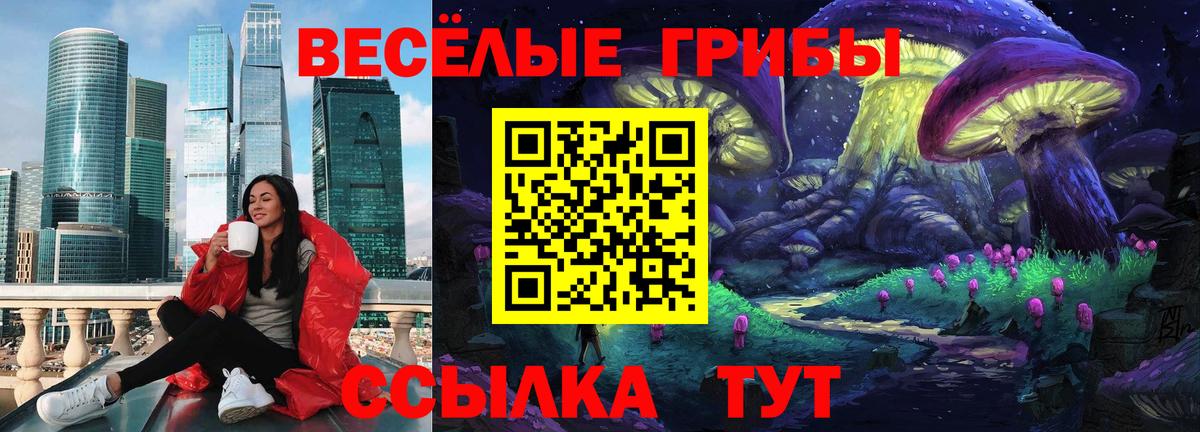 Галлюциногенные грибы Psilocybe Красноперекопск